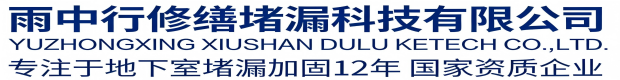 衡阳雨中行修缮堵漏科技有限公司